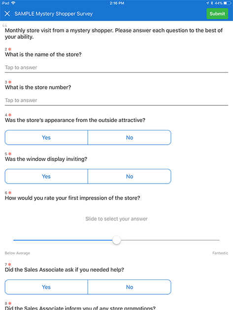 Mystery Shopper Form Survey Template