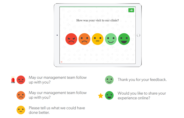 Satisfaction and review survey decision paths