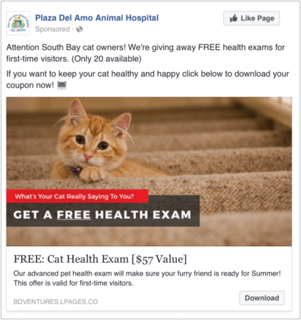 Facebook ad example